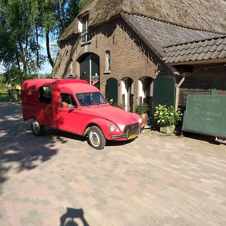 Tiny-House Buffel Parque de Campismo *