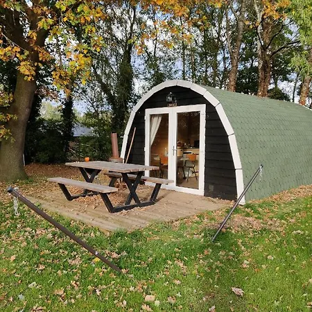 Tiny-House Buffel
